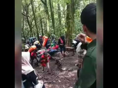 Pelangi dan matahari