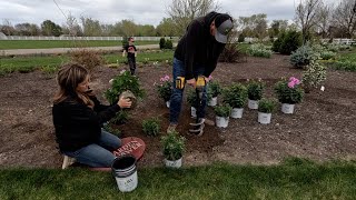 Planting Pretty Pink Perennials! 😊🩷🙌 // Garden Answer