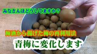 【梅酒の梅を青梅に再生させます】是非お試しください♪