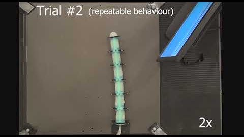 Dynamic control of soft robots interacting with the environment