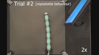 Dynamic control of soft robots interacting with the environment screenshot 5