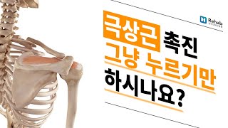 [필라테스 협회 추천]필라테스 강사들을 위한 촉진 기능해부학2 _극상근 가시위근