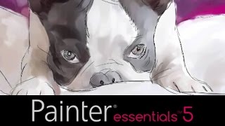 Painter Essentials 5 Tracing