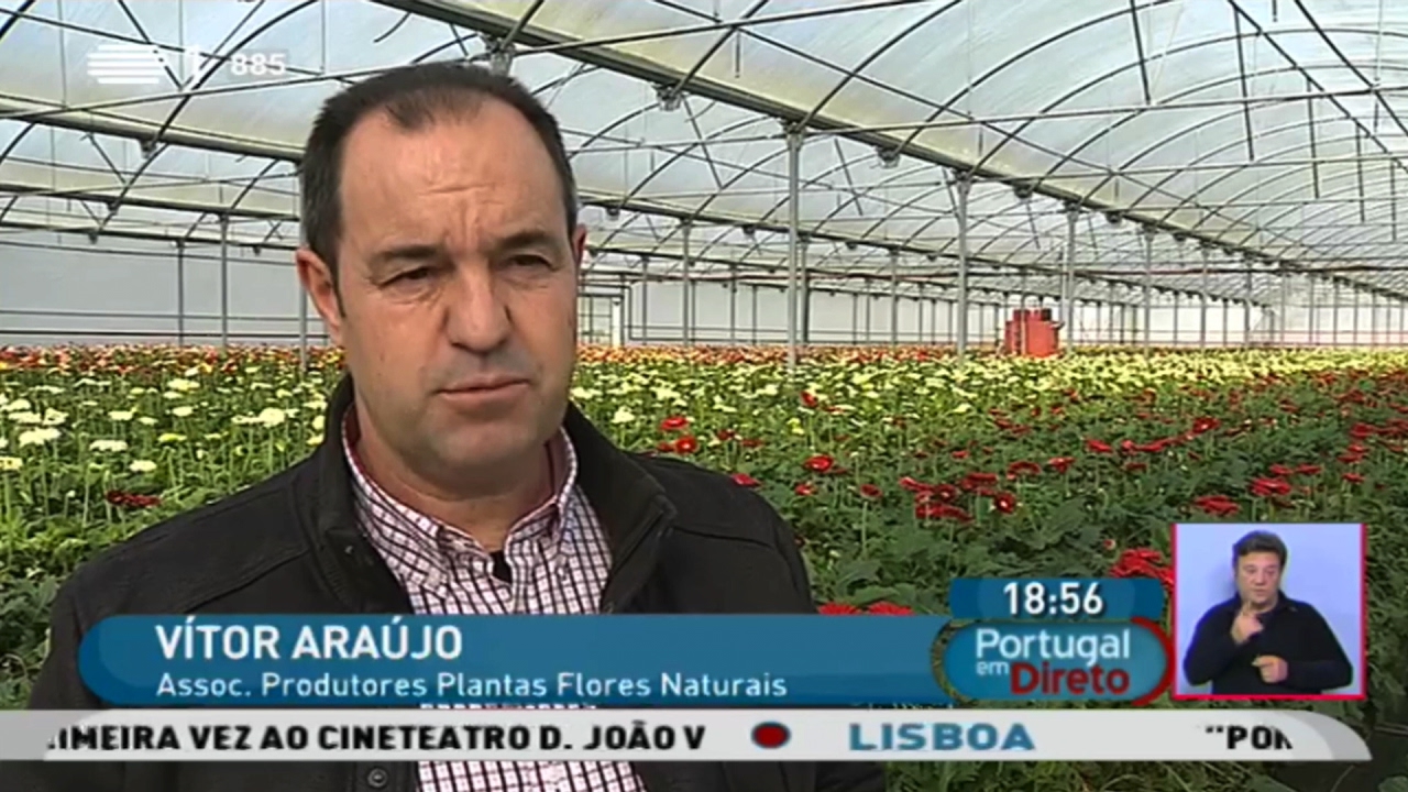 Mercado das Flores em Portugal rende 500 milhões de euros por ano