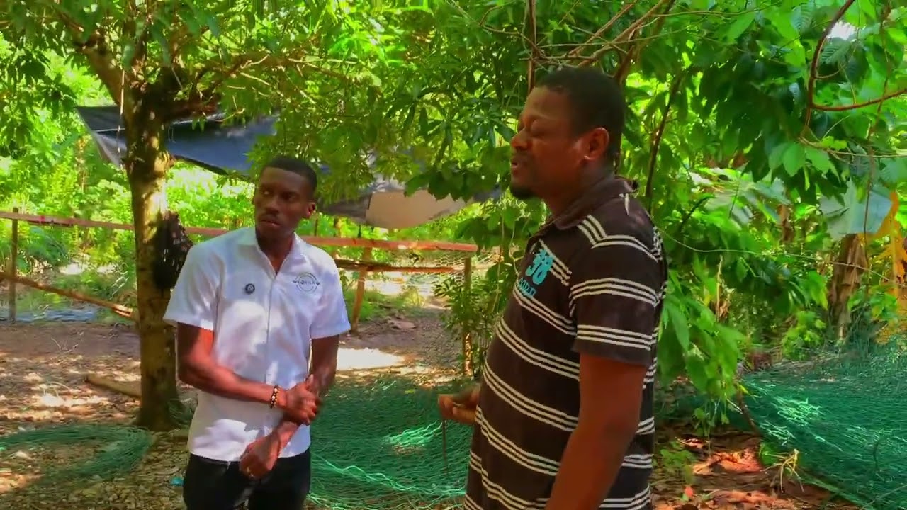 Gwo dekouvèt : Ing Isack montre kijan pou fè gabyon ak griyaj metalik