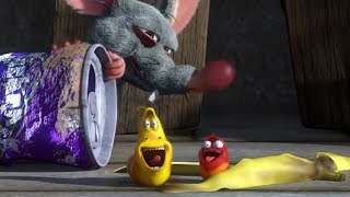 Larva Terbaru New Season Episodes Life Of A Rat Larva 2018 Full Movie