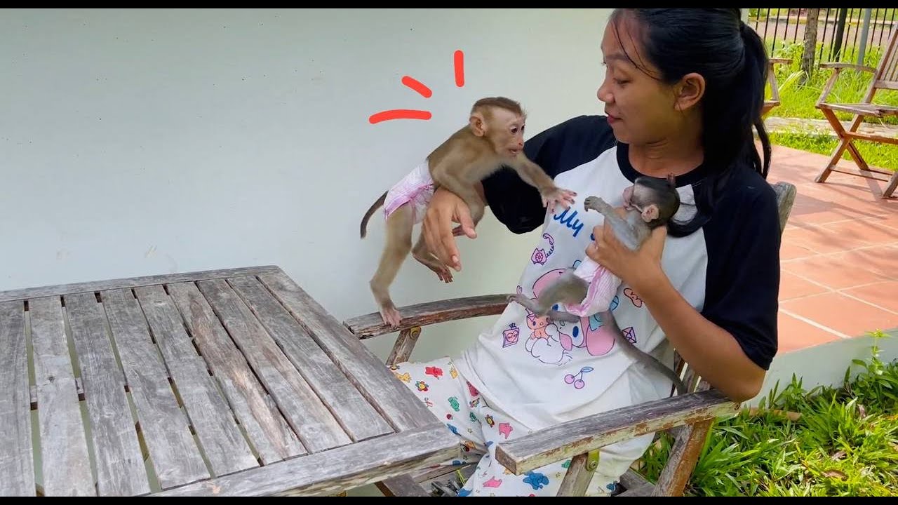 Jasmine Xtremaly anqrii mom closely with koi