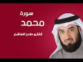 سورة محمد صلاح الهاشم سورة محمد صلاح الهاشم