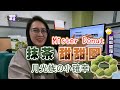 月底省錢下午茶，月光族の小確幸Mister Donut抹茶甜甜圈🍩 | 啪編翹班去