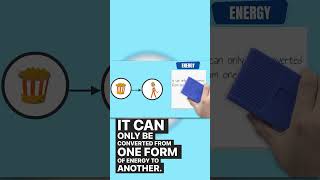 Part 2  Energy Transformation Among Organisms The Basics