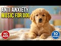 10 Hours Dog Sleep Music 🐶 Calming Music for Dogs with Separation Anxiety