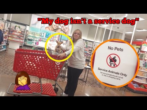 वीडियो: नकली सेवा कुत्तों के साथ समस्या