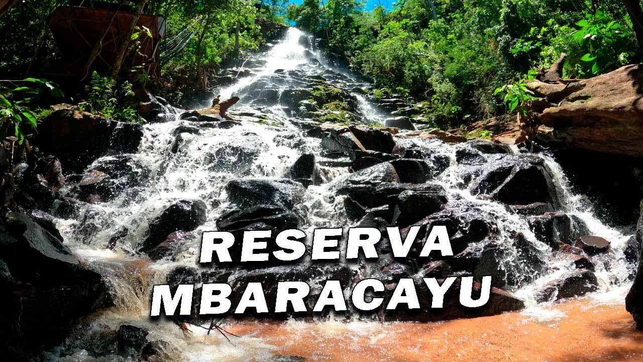 Tour a la Reserva del bosque Mbaracayú - Canindeyú Paraguay - YouTube