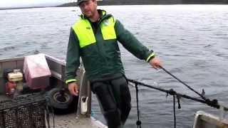 Seapa Oyster Baskets - Tasmania Subtidal