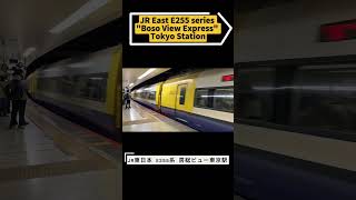 JR東日本 E255系房総ビュー東京駅JR East E255 series "Boso View Express" Tokyo Station #鉄道 #走行動画 #train #japan