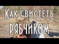 КАК СВИСТИТ РЯБЧИК Учимся подманивать рябчика. [4К] Охота 🐣