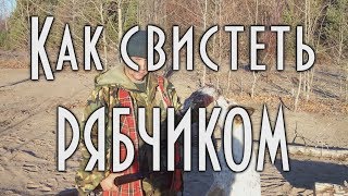 Как свистит рябчик,  Учимся подманивать рябчика. [4К] Охота 🐣