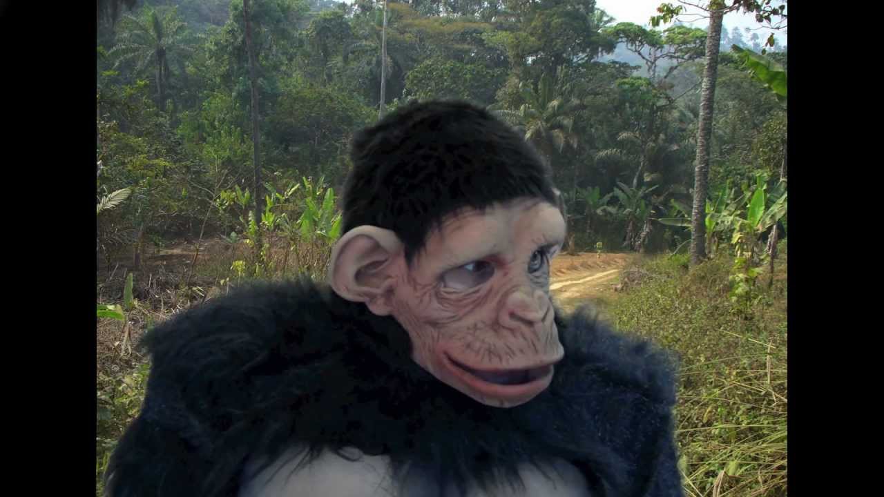 Maschera Di Carnevale Della Scimmia Babbuino Della Scimmia Del Primate Di Brown Image87680619 - Foto 4