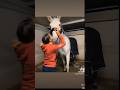 Valentino forever #equitazione #cavalli #maneggio #animals #shortsvideo #horse #horses