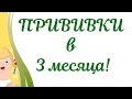 Прививки в 3 месяца ребенку по Нац.календарю! Подготовка и правила вакцинации!