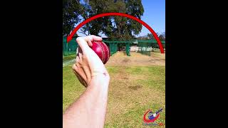 Cricket Leg Spin Grip #Shorts screenshot 5