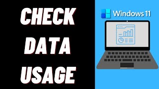 how to check data usage in windows 11