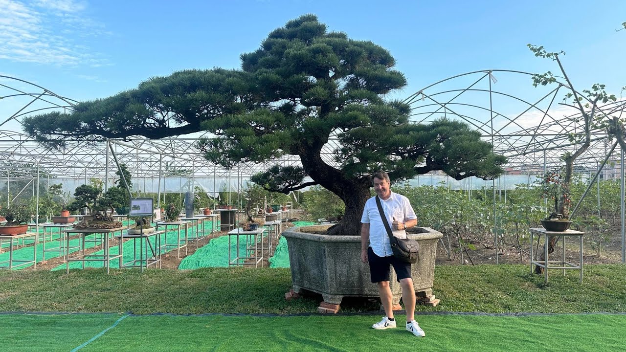 A visit to Baowen Bonsai Garden