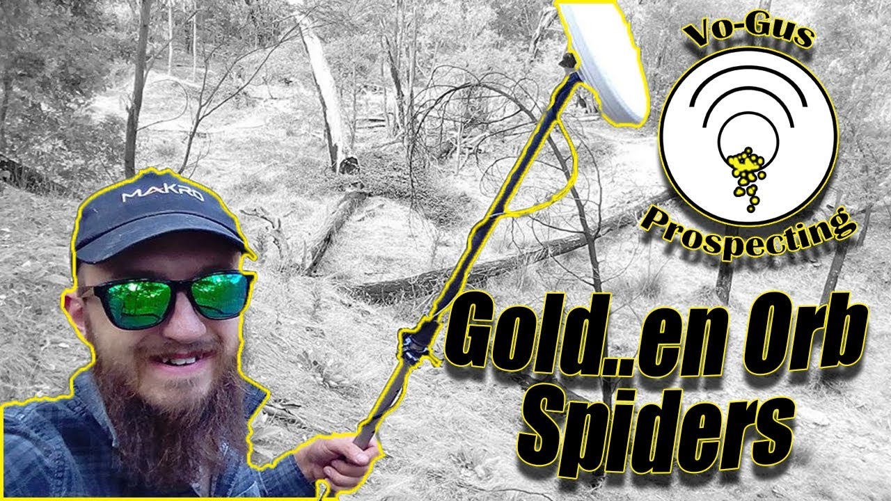 Metal Detecting for Gold Nuggets in Australia YouTube