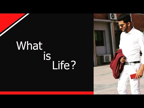 Meaning of Life| زندگی کا مطلب| by Mujtaba haider