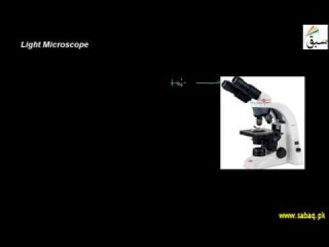 introduction to light microscopy