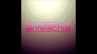 entelechia-sigo amaneciendo sin vos