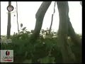 فلم وثائقي عن منطقة البطانه الوالد محمد ابراهيم الأمين ود عفش عليه رحمة الله فلم وثائقي عن منطقة البطانه الوالد محمد ابراهيم الأمين ود عفش عليه رحمة الله