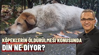 Köpeklerin Öldürülmesi Din Ne Diyor?  Ahmet Kurucan