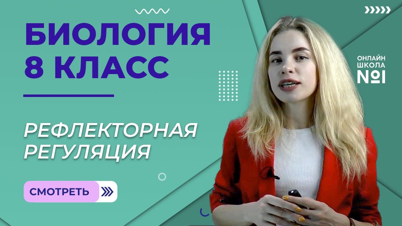 Рефлекторная регуляция. Урок 7. Биология 8 класс - YouTube