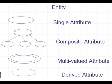 Entity-Relationship Model : Entity types and entity sets & ER Diagram for Entity and Attribute