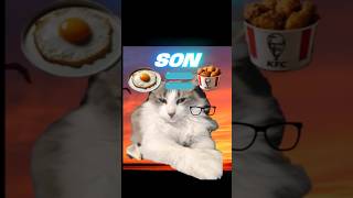 El huevo frito y pollo fritos es igual?#cat #humor #yosoydelos7mil #memes #funny #shorts#shortvideo