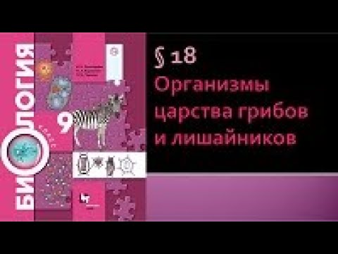 Биология 9 класс. Организмы царства грибов и лишайников