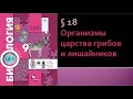 Биология 9 класс. Организмы царства грибов и лишайников