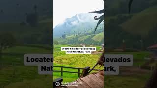 The Cocora Valley is a must-see in the Salento area of Colombia 🇨🇴 #adventurefamily #travelvlogs