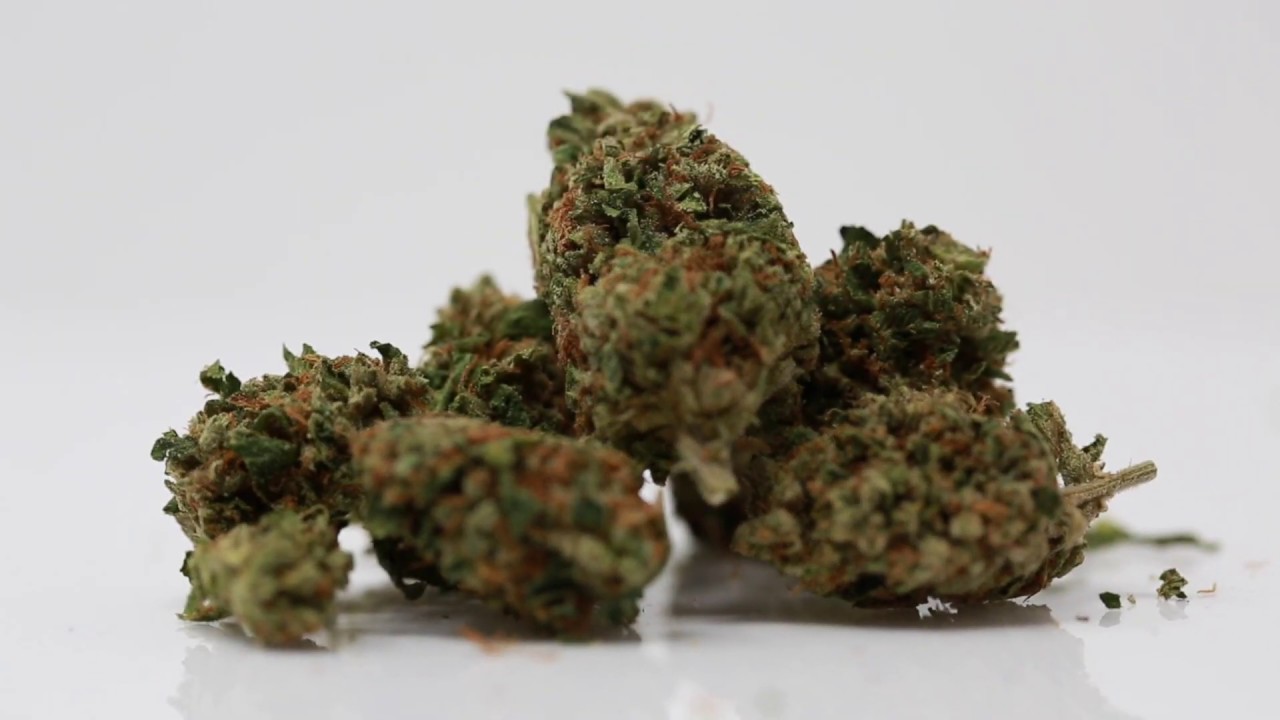 Blue Coral by by ForwardGro (strain Of the week) YouTube