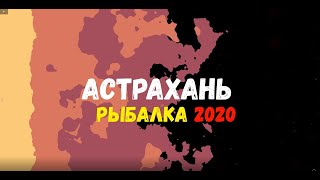 АСТРАХАНЬ 2020 | Рыбалка на раскатах | Лотосовые поля | База Икра | Рыбалка в Астрахани 2020 | Вейк