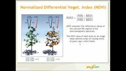 2012 07 20 13 02 Webinar  Session   Applications of Remote Sensing for Crop Management   4