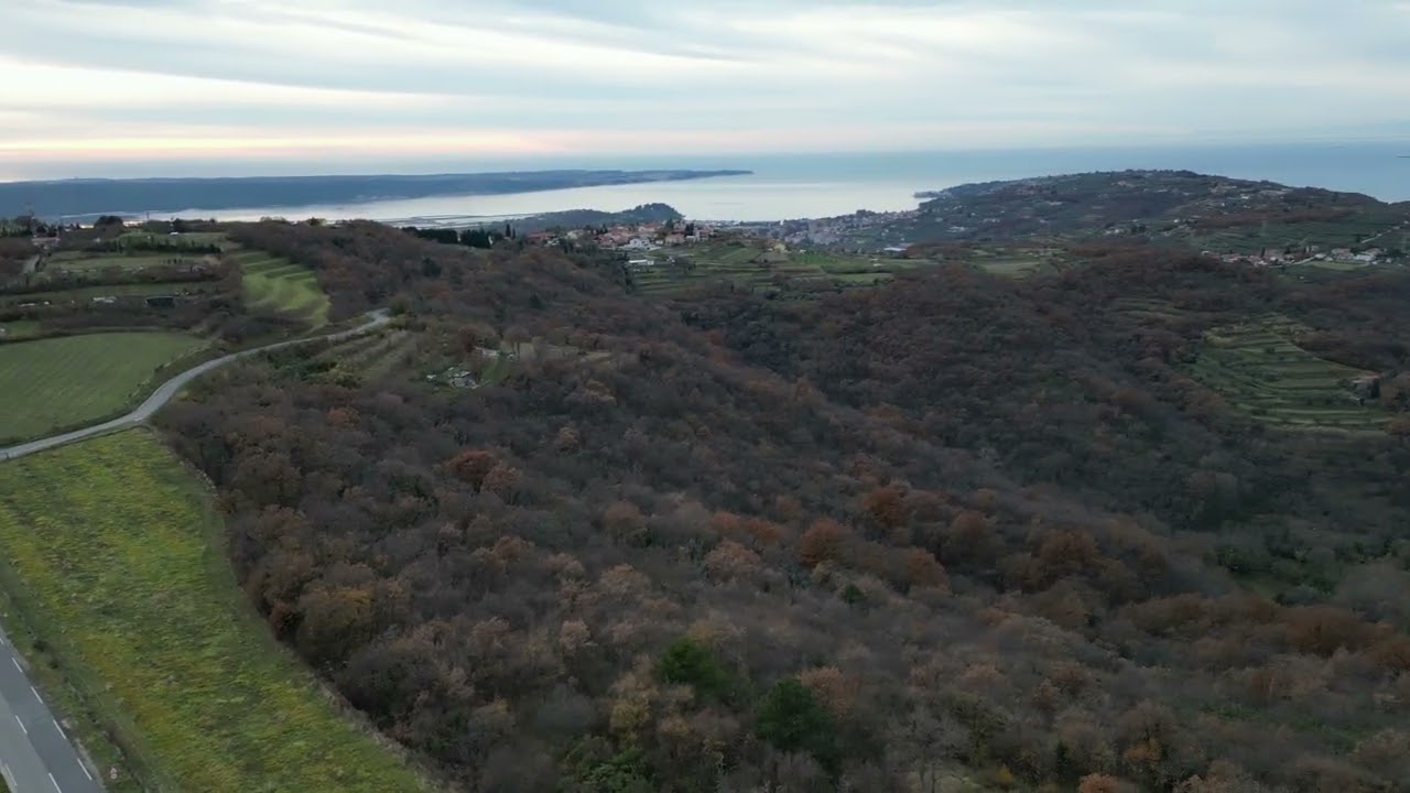 Cetore, med Korte in Šared