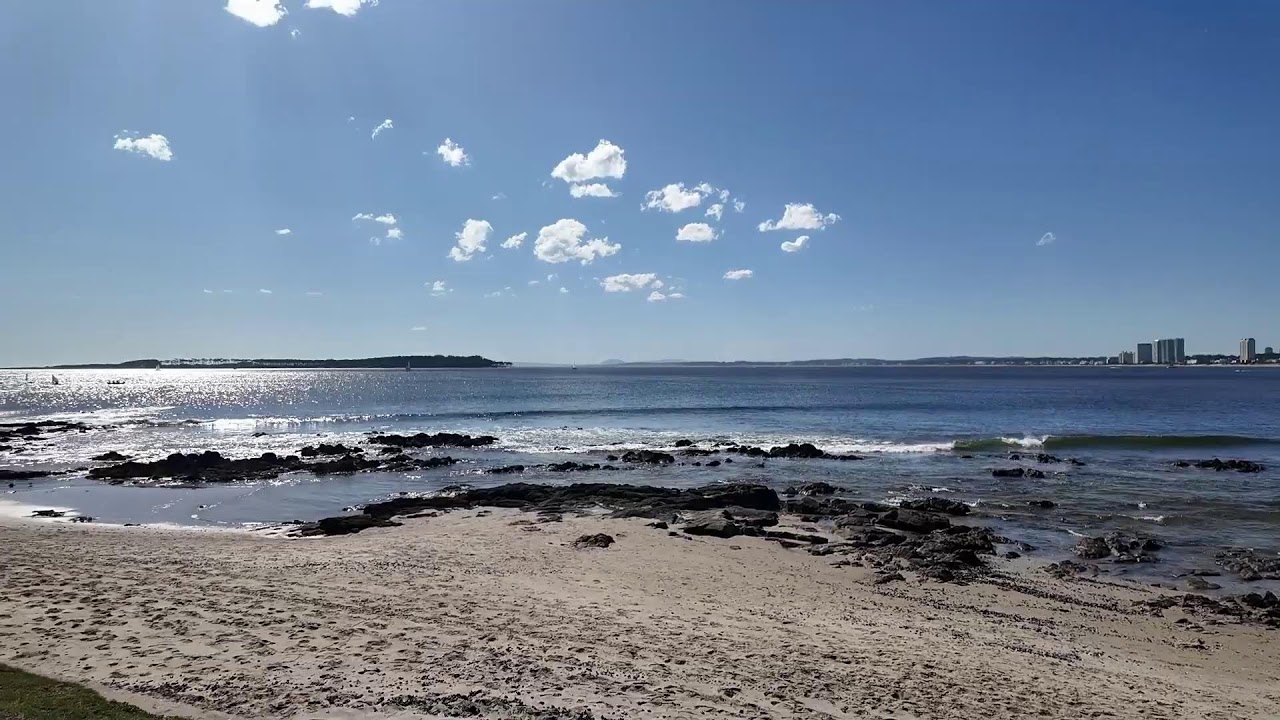 🥰'Twinny v !Friends' stream with @Dixonkunce🥰 