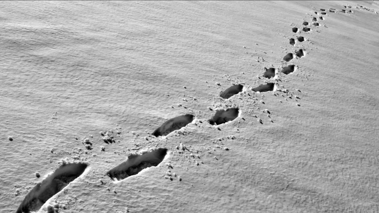 Debussy Footprints in the Snow (Chiara Bertoglio, piano) YouTube