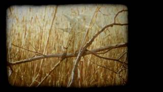 Plukk.inn - Neon Heights