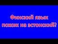 ФИНСКИЙ ЯЗЫК,  ПОХОЖ ЛИ НА ЭСТОНСКИЙ!!!??