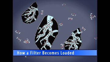 Sentry Air Systems Demonstrates How Activated Carbon Works in a Filter