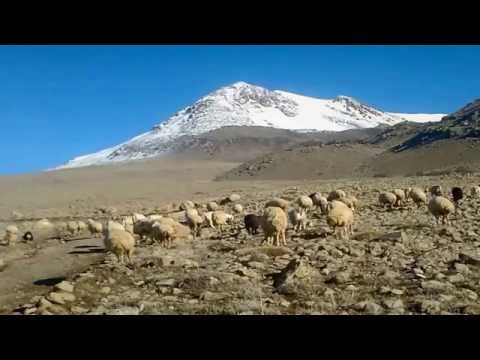 NEŞET ERTAŞ YİNEMİ GURBETE DÜŞTÜ YOLUMUZ