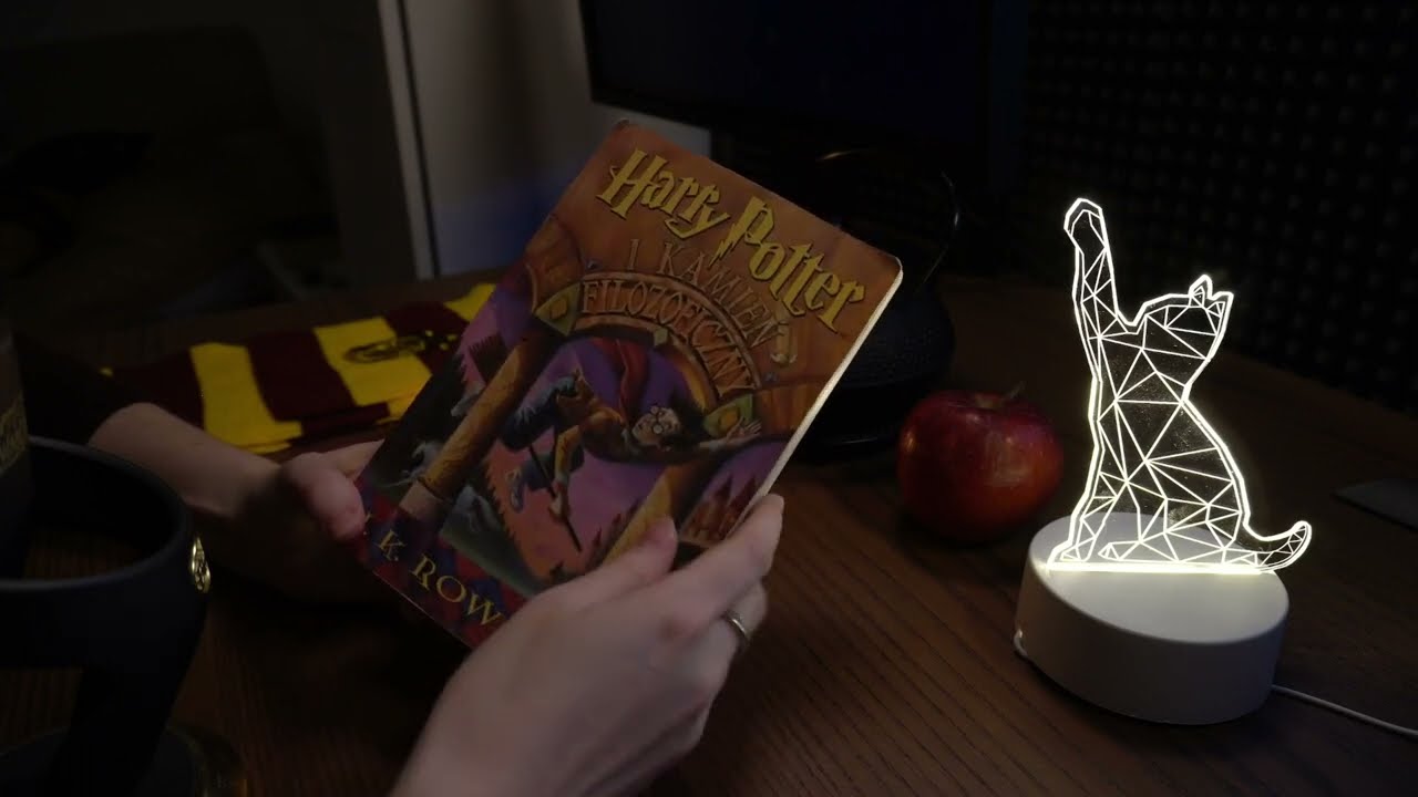 Polish ASMR | Czytam Harrego Pottera Na Dobranoc | Reading Harry Potter For Goodnight | Polski ASMR